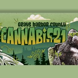 Cannabis 21 - Ocean Shores