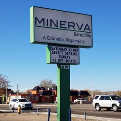 Minerva canna group