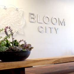 Bloom City Club Recreational Weed Dispensary Battle Creek