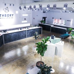 Theory Wellness - Chicopee