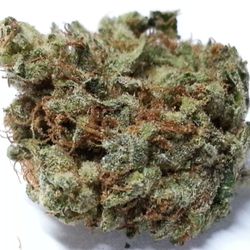 Super Buds 20 Cap