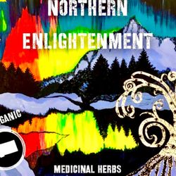 Northern Enlightenment