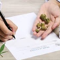 Orlando Marijuana Clinic