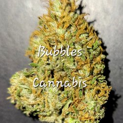 Bubbles Cannabis Delivery Service