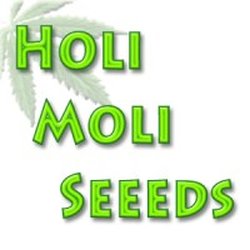 Holi Moli Seeds